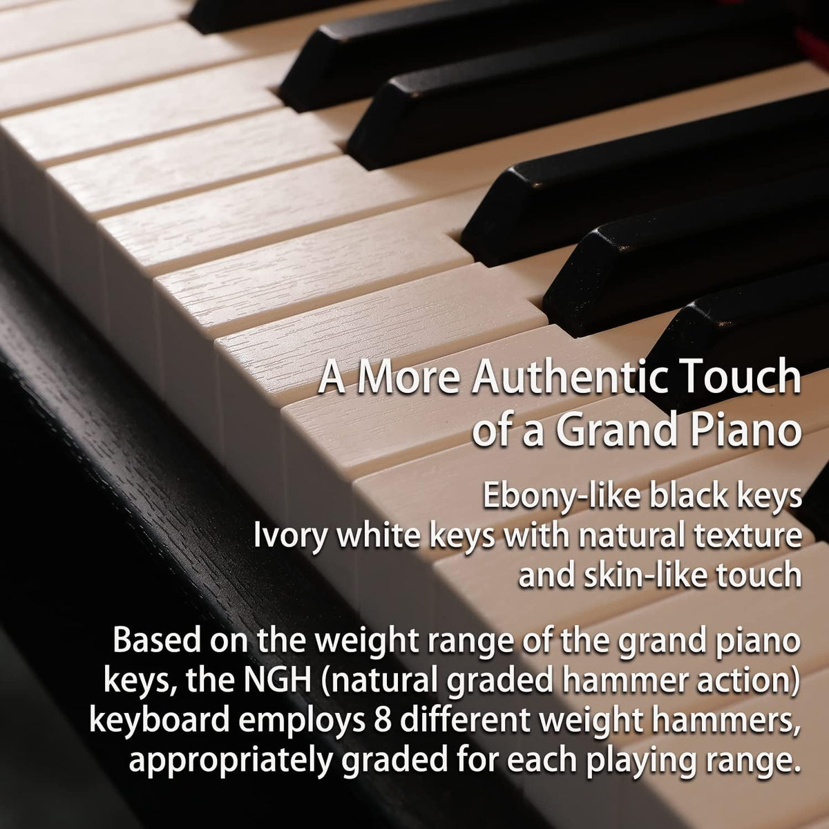 88-Key Weighted Hammer-Action Digital Piano X7590