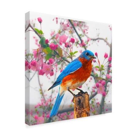 Spring Bird Can H75423