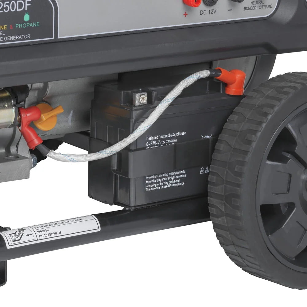 Portable Dual Fuel Gas Generator with Electric Start D590796