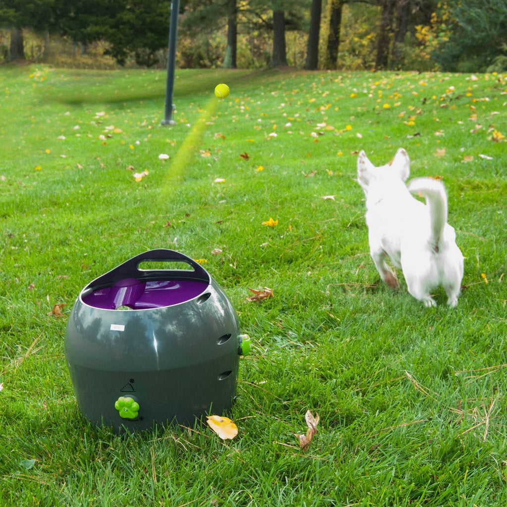 Automatic Ball Launcher E297312